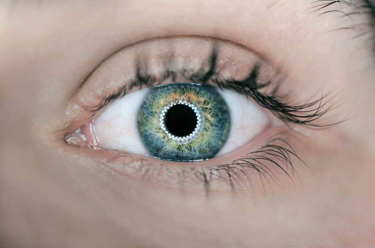 Close-up of an eye